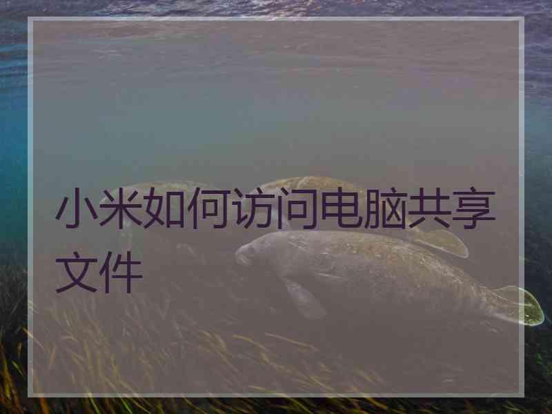小米如何访问电脑共享文件