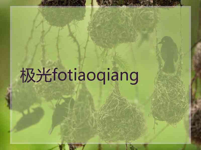 极光fotiaoqiang