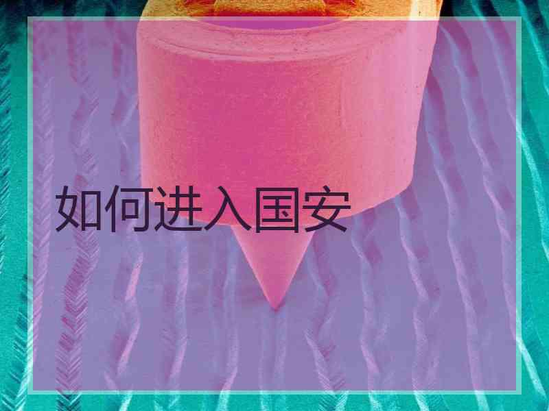 如何进入国安