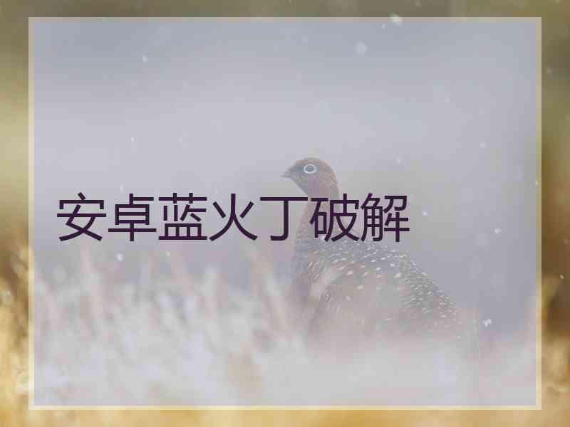 安卓蓝火丁破解
