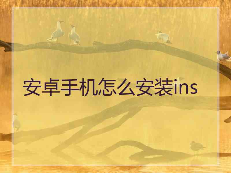 安卓手机怎么安装ins