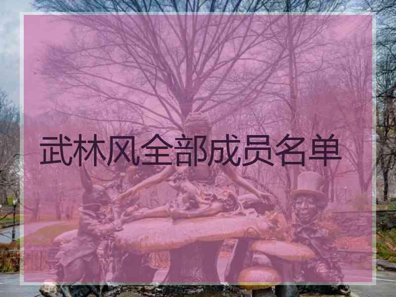 武林风全部成员名单