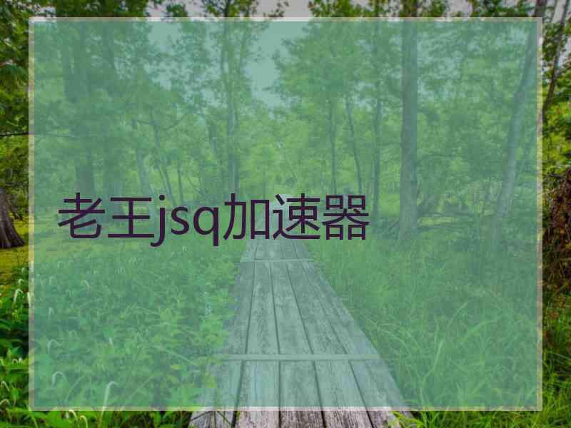 老王jsq加速器