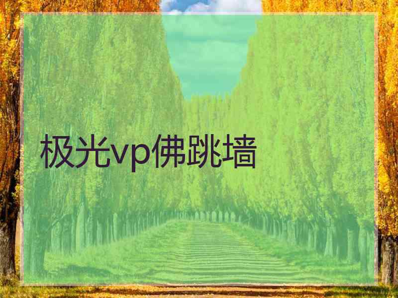极光vp佛跳墙