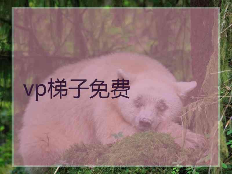 vp梯子免费