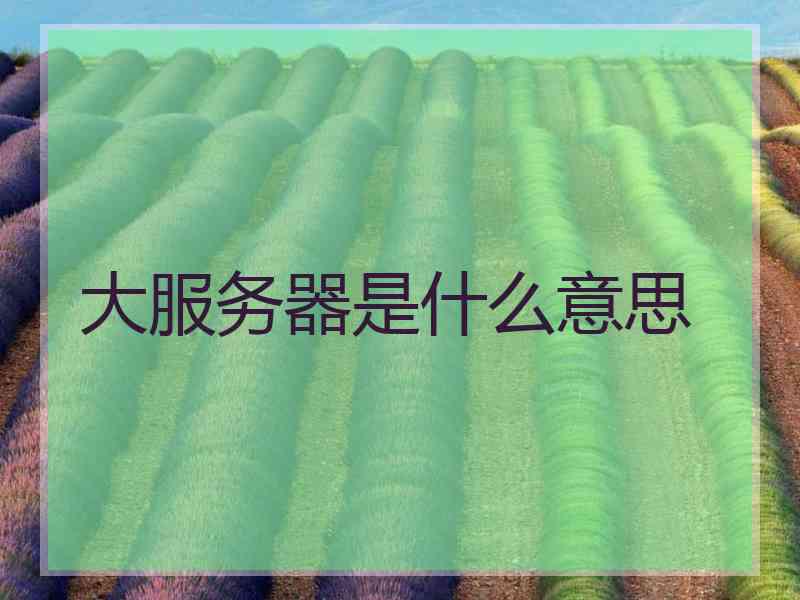 大服务器是什么意思