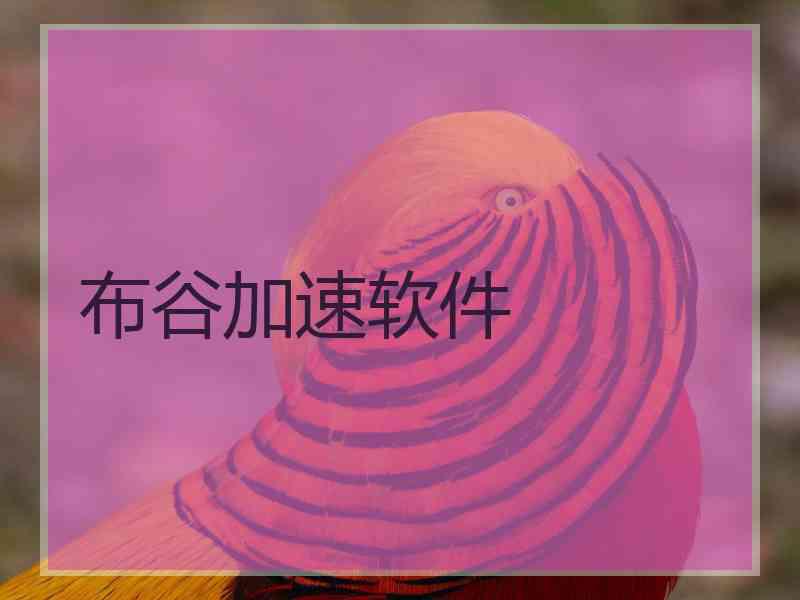 布谷加速软件