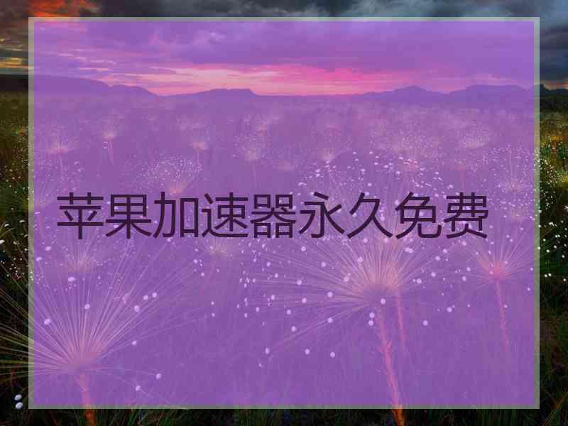 苹果加速器永久免费