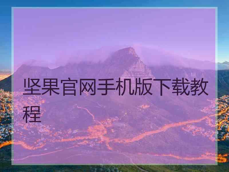 坚果官网手机版下载教程
