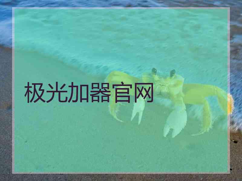 极光加器官网
