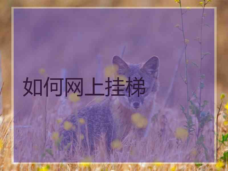 如何网上挂梯