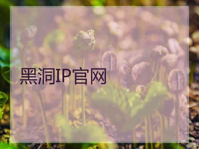 黑洞IP官网