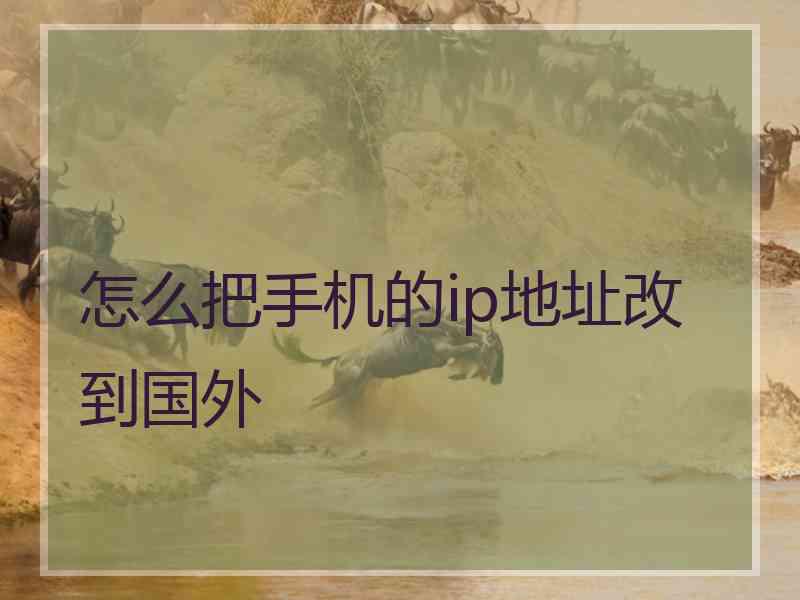 怎么把手机的ip地址改到国外