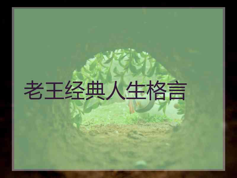 老王经典人生格言