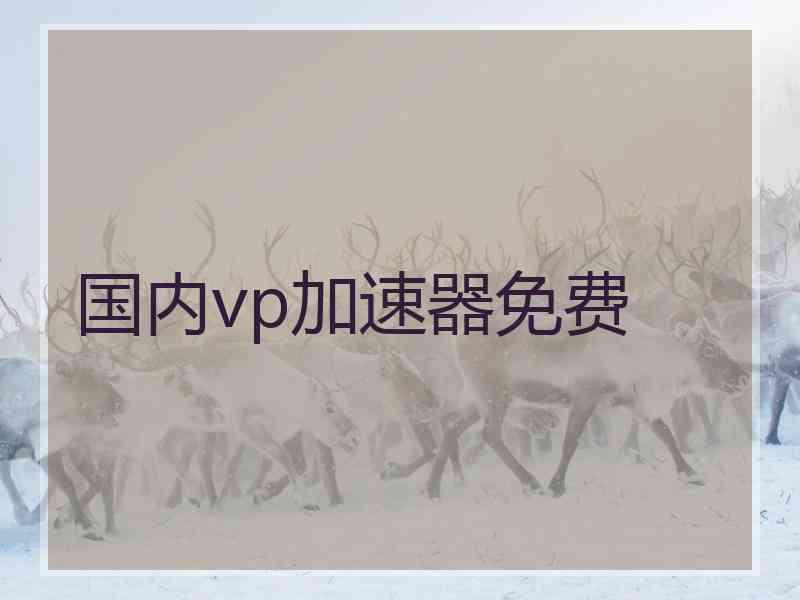 国内vp加速器免费