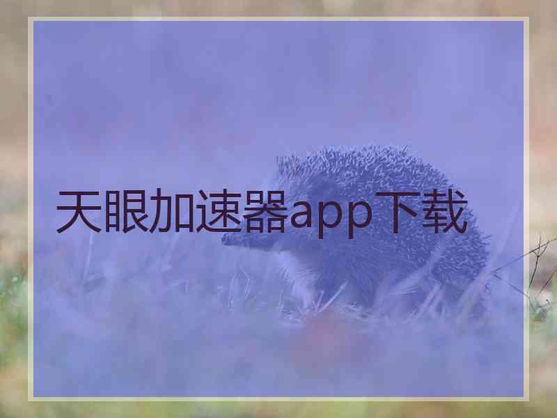 天眼加速器app下载