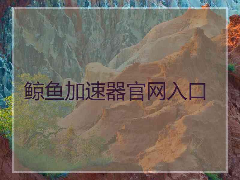 鲸鱼加速器官网入口