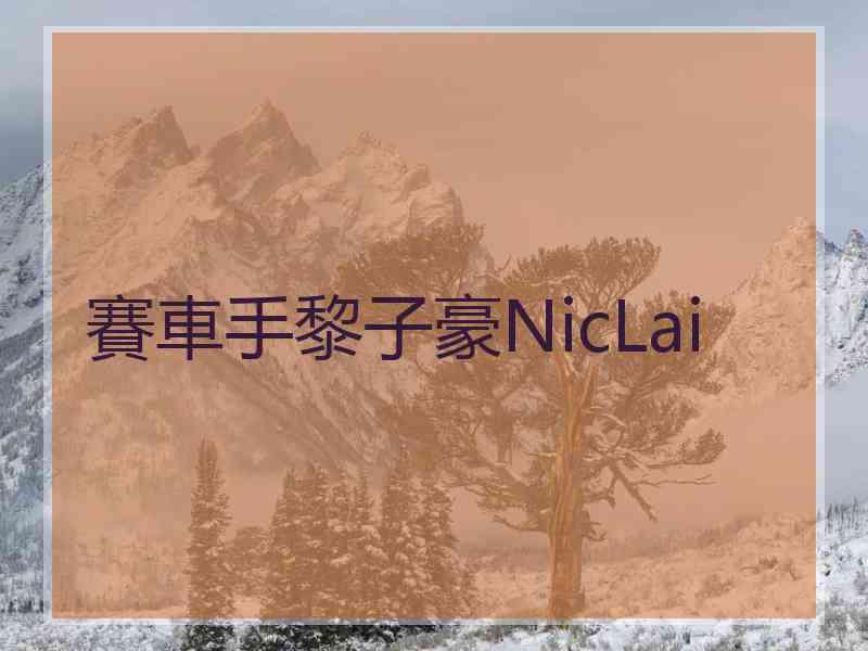賽車手黎子豪NicLai