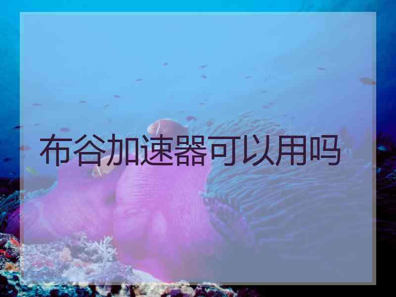 布谷加速器可以用吗