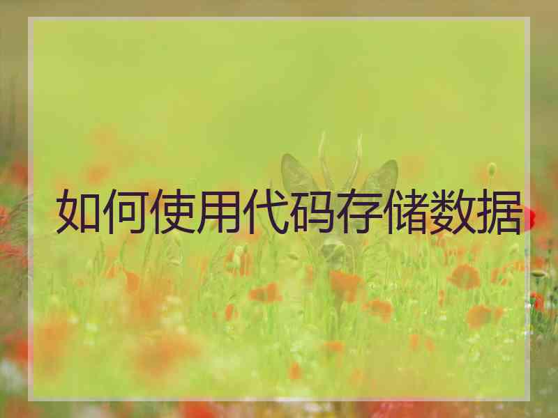 如何使用代码存储数据