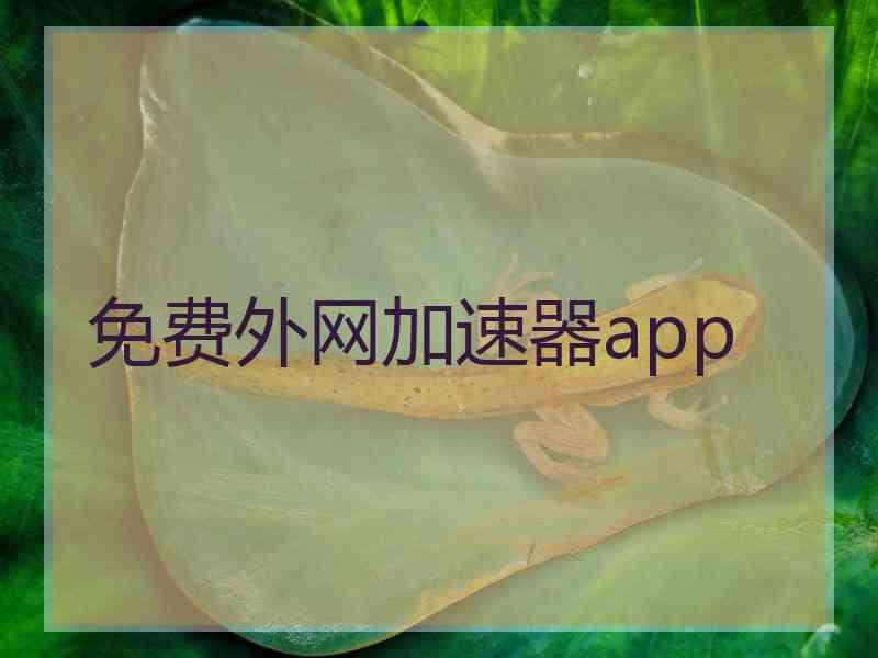 免费外网加速器app