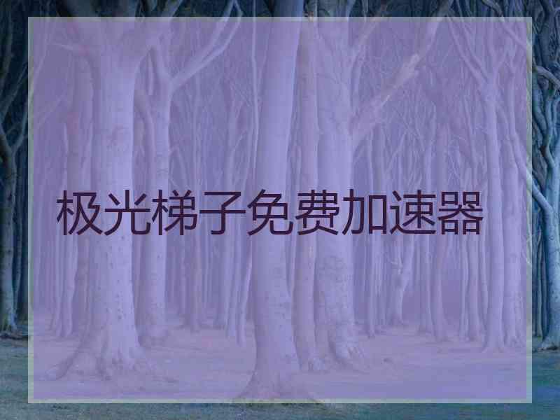 极光梯子免费加速器