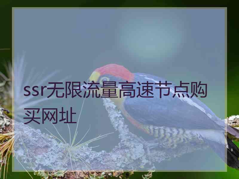 ssr无限流量高速节点购买网址
