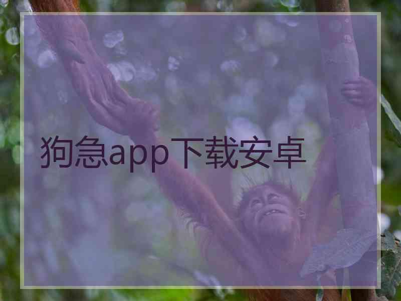 狗急app下载安卓