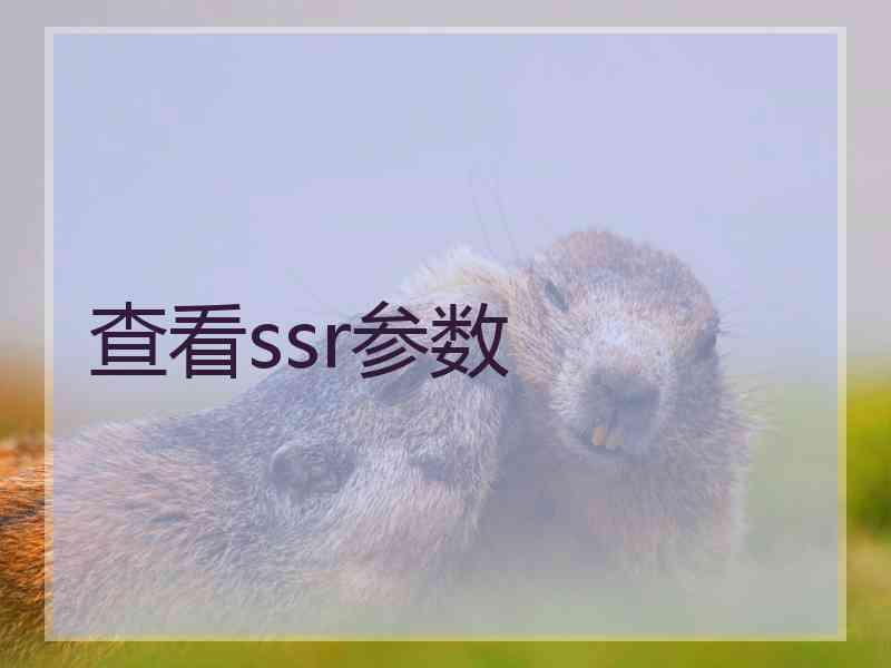 查看ssr参数