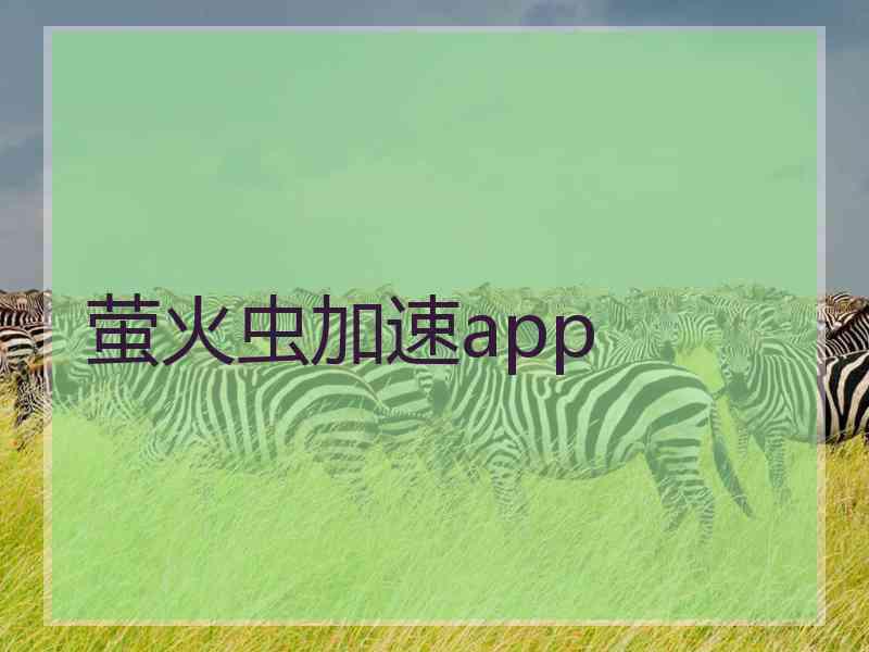 萤火虫加速app