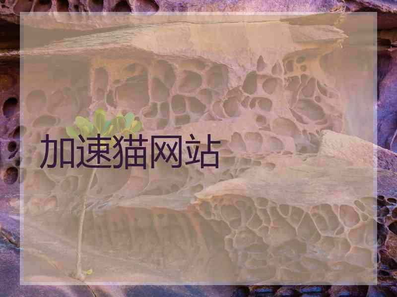 加速猫网站