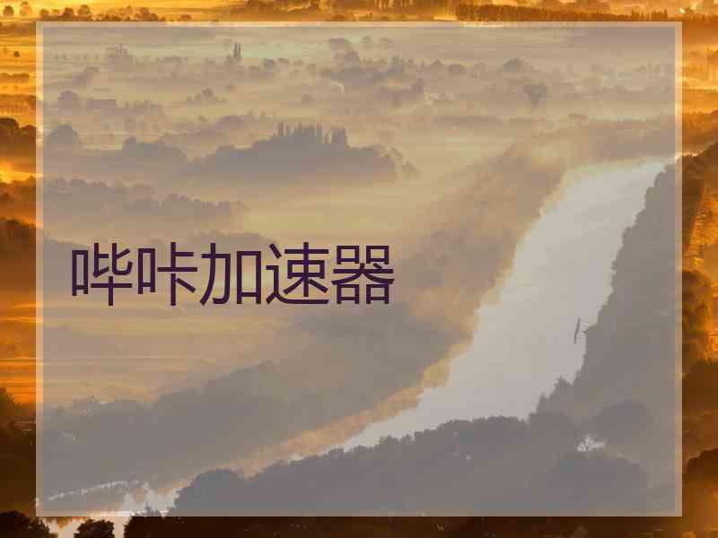 哔咔加速器