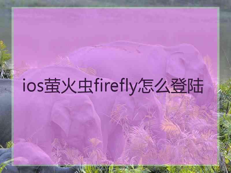 ios萤火虫firefly怎么登陆