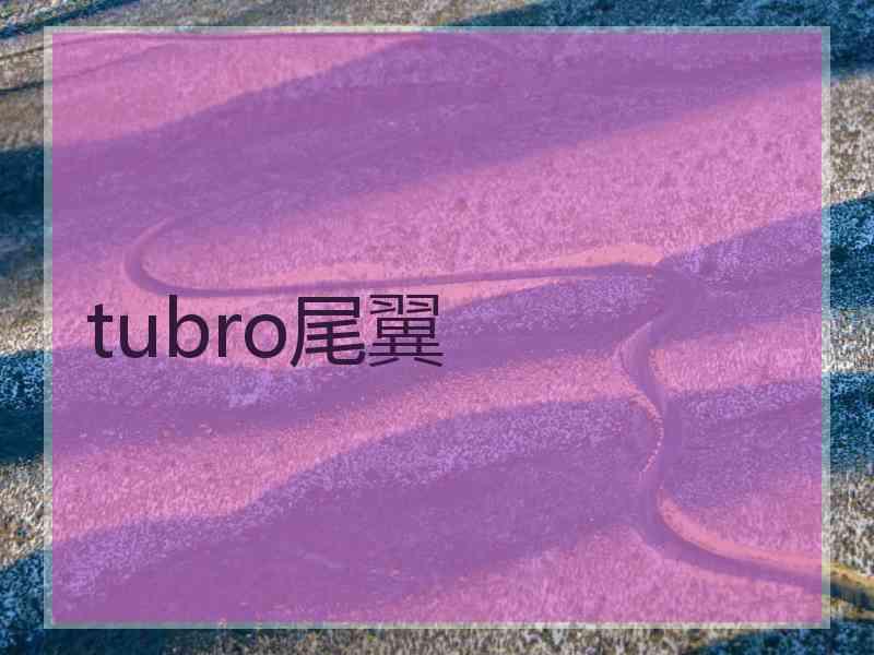 tubro尾翼