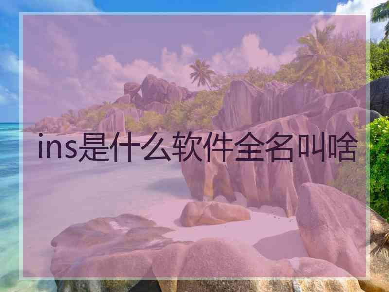 ins是什么软件全名叫啥