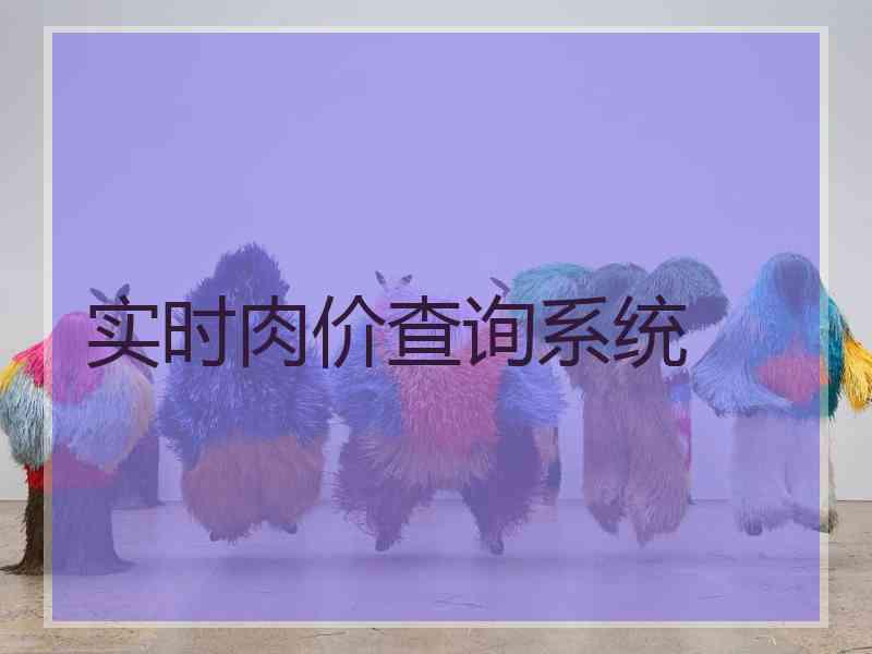实时肉价查询系统