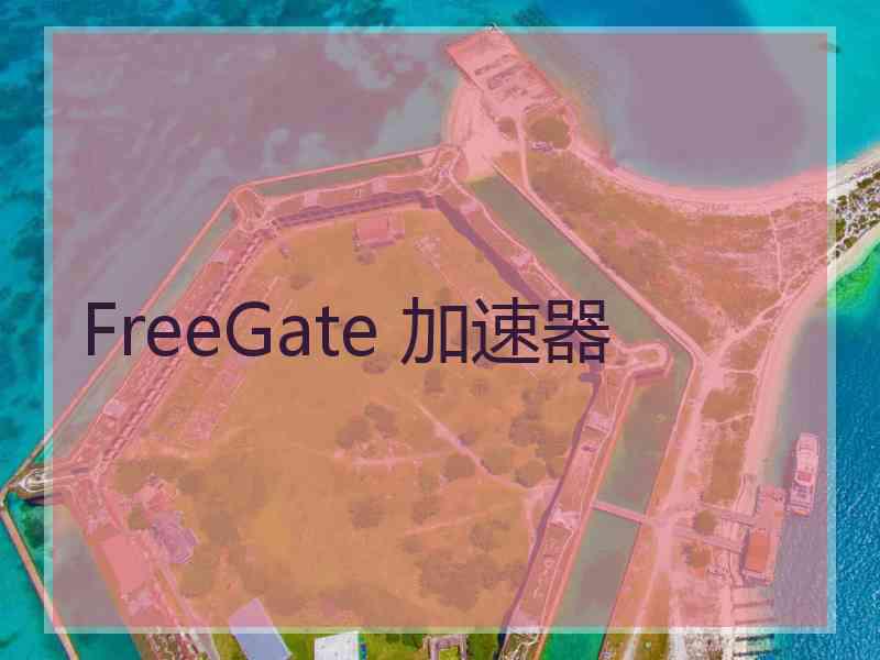 FreeGate 加速器