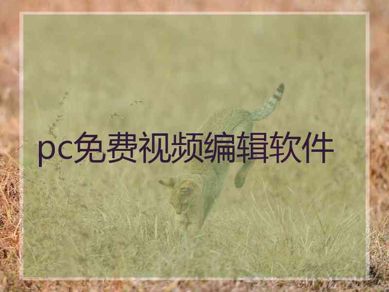 pc免费视频编辑软件