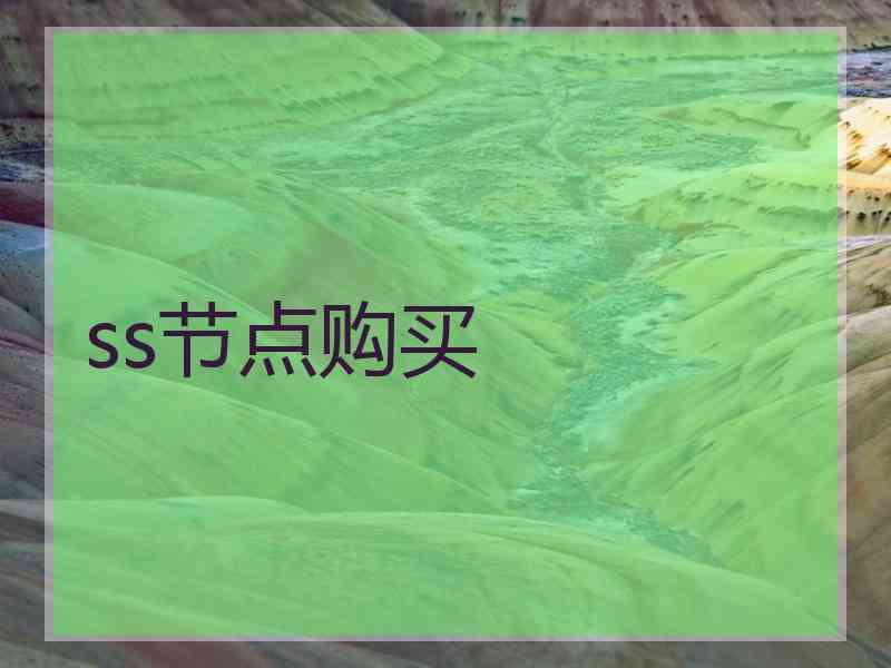 ss节点购买