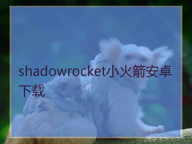 shadowrocket小火箭安卓下载