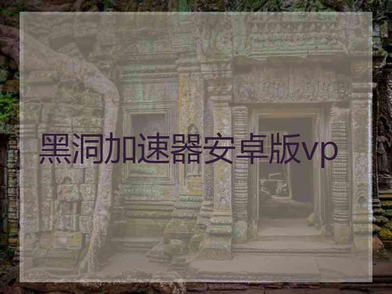 黑洞加速器安卓版vp