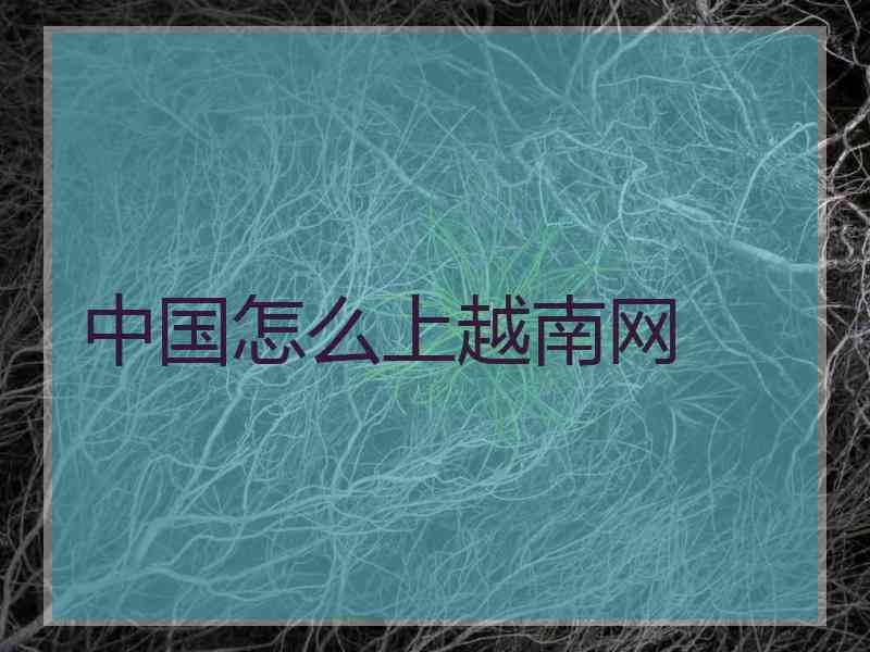 中国怎么上越南网