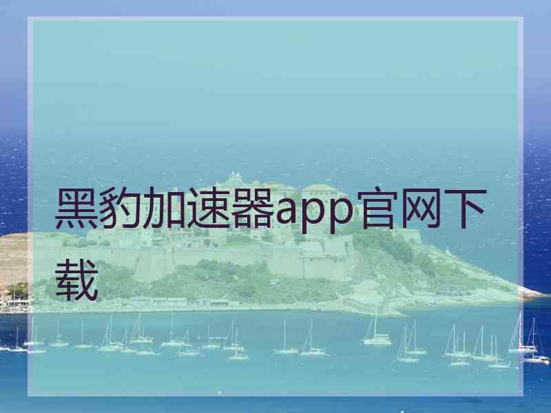 黑豹加速器app官网下载