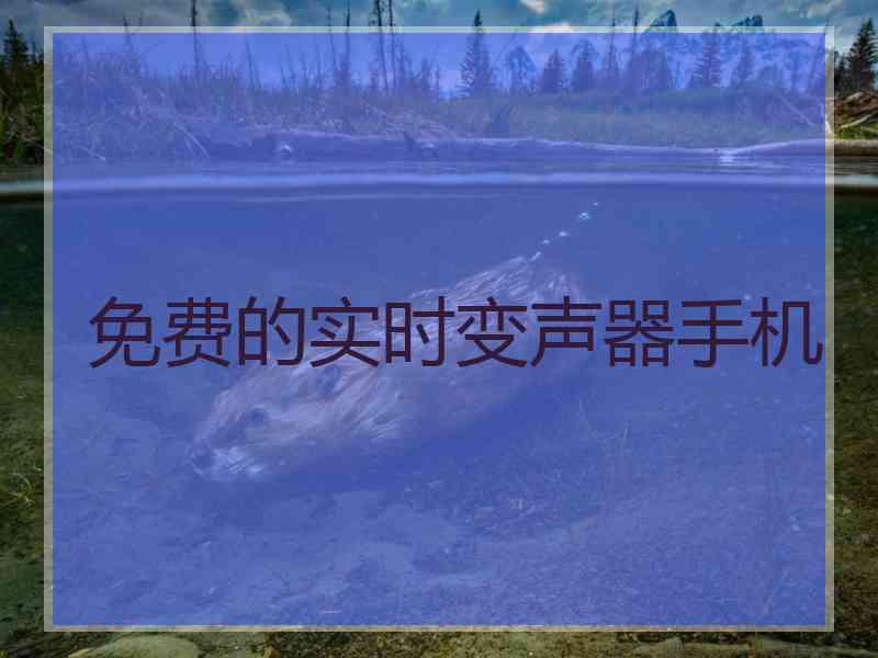 免费的实时变声器手机
