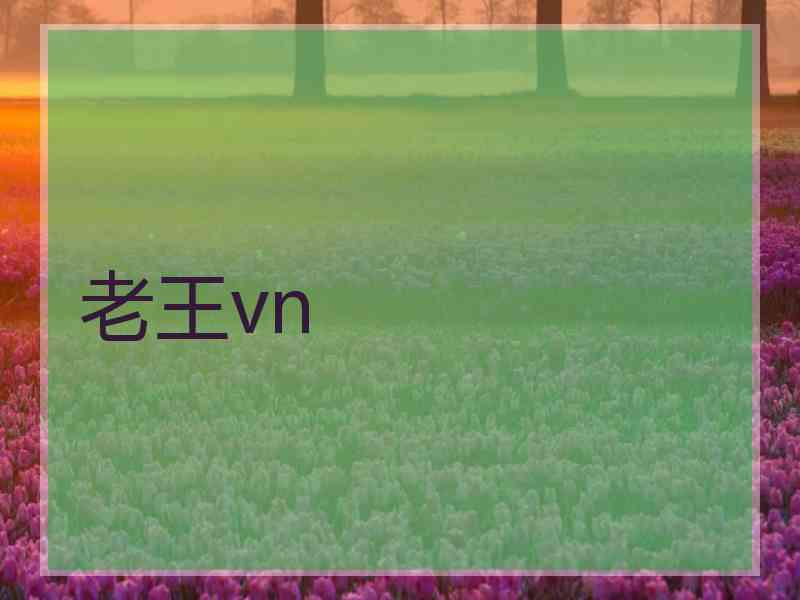 老王vn