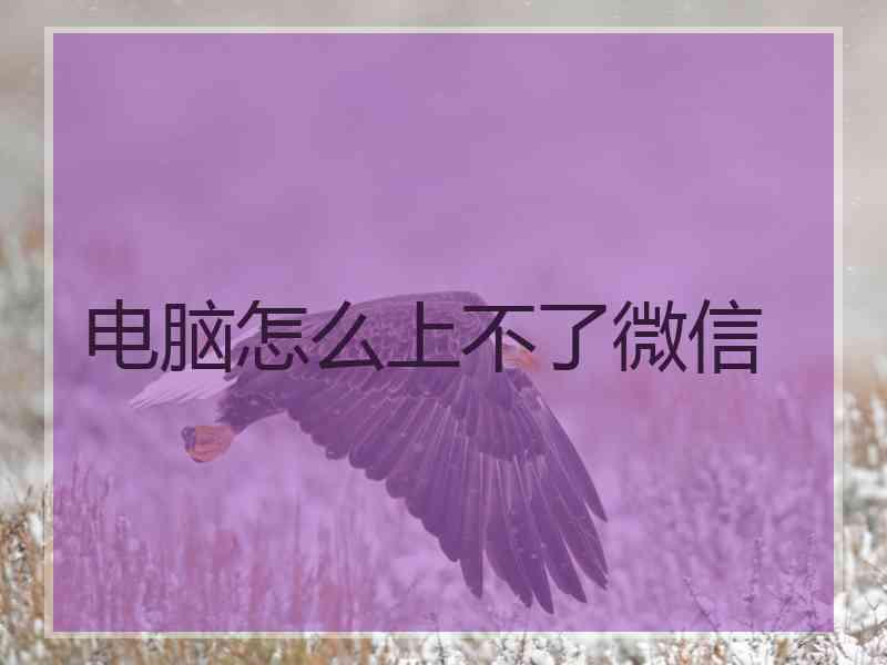 电脑怎么上不了微信