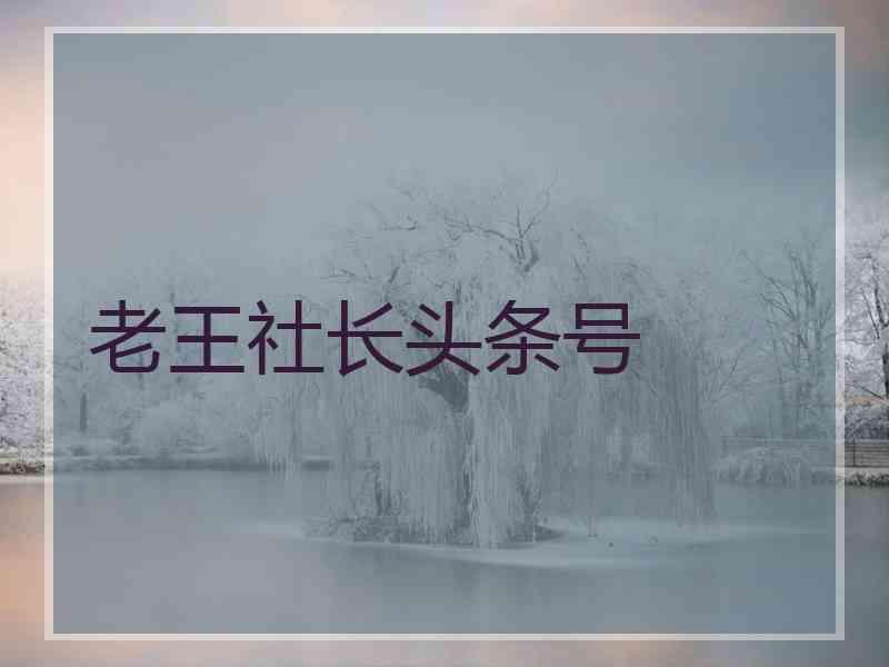 老王社长头条号