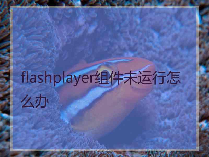 flashplayer组件未运行怎么办