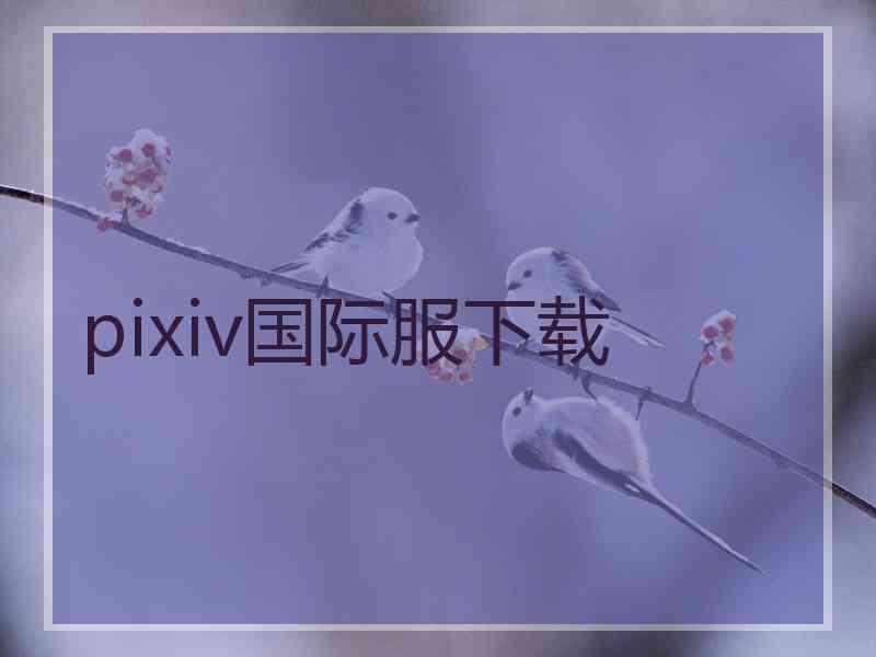 pixiv国际服下载