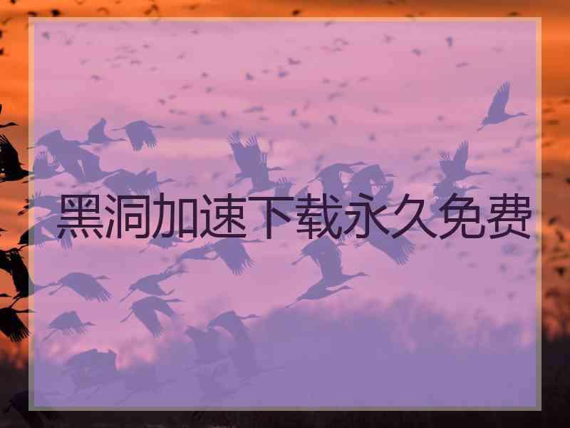 黑洞加速下载永久免费